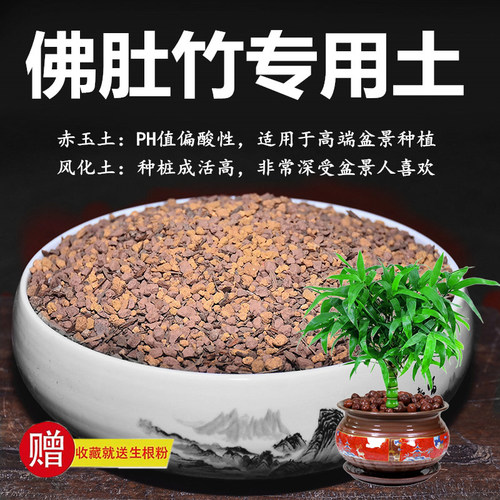 佛肚竹罗汉竹专用土竹子种植土赤玉土风化土颗粒土酸性土红土花土
