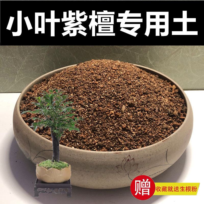 小叶紫檀专用土颗粒土种植土