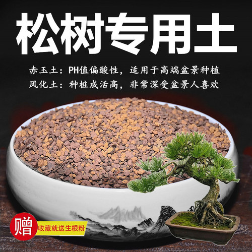 松树黑松五针松黄山松马尾松专用土赤玉土风化土颗粒土专用肥玉肥