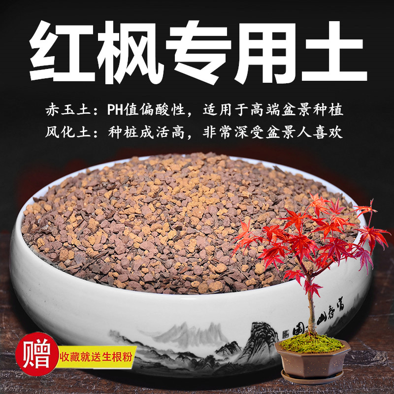 红枫专用土枫树土赤玉土风化土风化石颗粒土酸性土红土专用肥玉肥