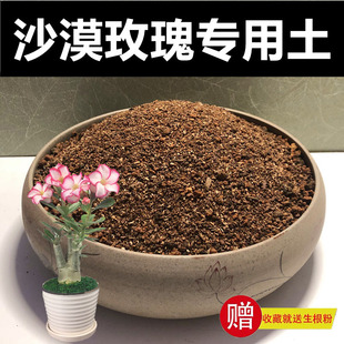 沙漠玫瑰专用土营养土颗粒土种植土风化土红沙土酸性盆景土赤玉土