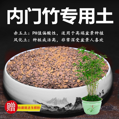 内门竹专用土竹子赤玉土风化土颗粒土酸性土红土专用肥玉肥营养