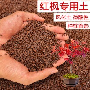 红枫土枫树专用土风化土颗粒土红土酸性土盆景土盆栽种植土营养土