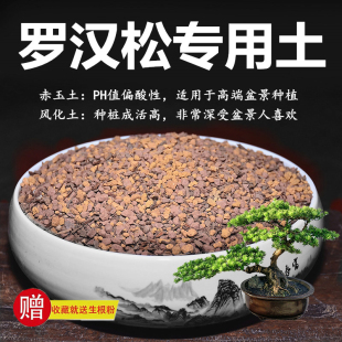 罗汉松专用土赤玉土风化土风化石颗粒土酸性土红土专用肥玉肥营养