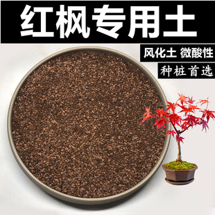 红枫土枫树专用土风化土颗粒土红沙土酸性园艺土赤玉土花卉种植土