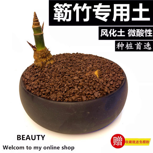 小叶簕竹勒竹土乐竹专用土风化土颗粒土红土酸性盆栽种植土营养土