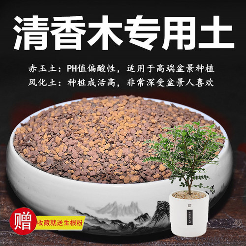 清香木专用土赤玉土风化土