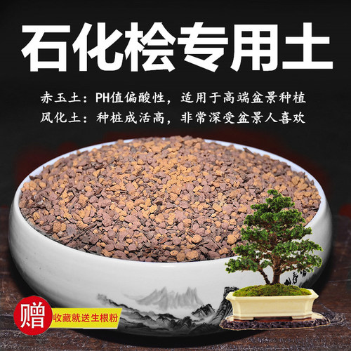石化桧专用土赤玉土风化土风化石颗粒土酸性土红土专用肥玉肥营养