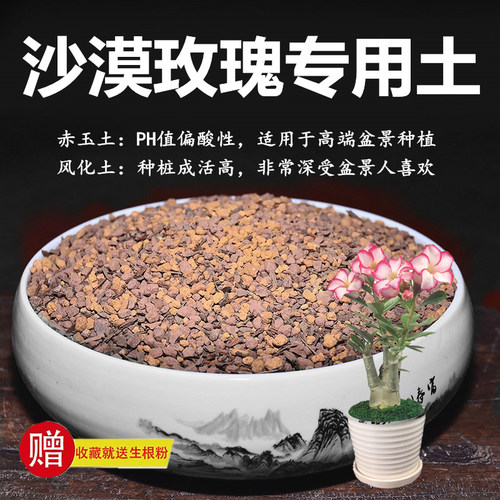 沙漠玫瑰专用土赤玉土风化土风化石颗粒土酸性土专用肥玉肥营养土