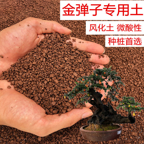 风化土专用土颗粒土金弹子种植土