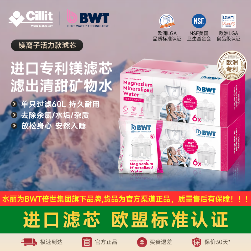 BWT倍世滤芯德国净水壶过滤水壶净水器通用碧然德进口镁离子滤芯