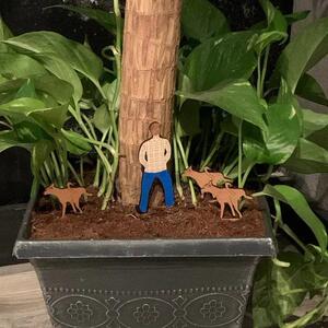 跨境新款趣味盆栽木质迷你插牌 父亲儿子狗狗庭院家居花盆装饰