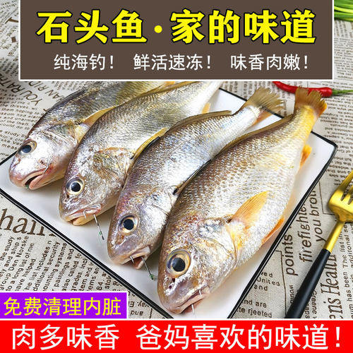 海鱼新鲜免费去除内脏湛江