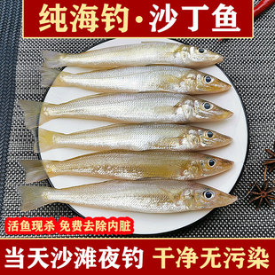 海捕新鲜沙丁鱼鲜活海钓7-9条超大沙尖鱼梭子沙钻鱼湛江海鲜水产
