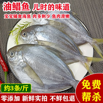 深海油鲳鱼肉鲳鱼肉多刺少