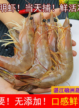 湛江天然大明虾鲜活大白虾海捕虾