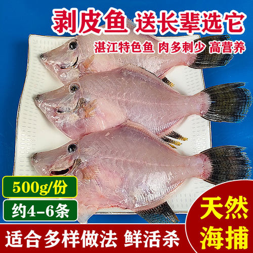 湛江海鲜水产鲜活网捕黑面剥皮鱼