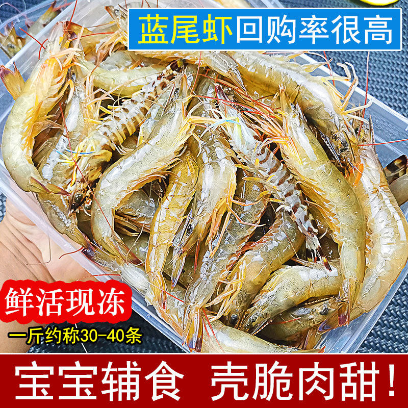 新鲜蓝尾虾鲜活天然海虾冻虾湛江海鲜水产特产海泥虾野生虾仔土虾
