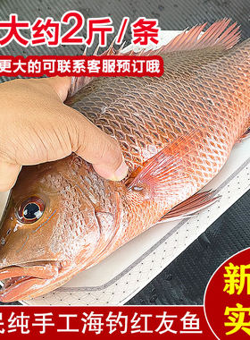 湛江海鲜水产红友鱼海钓