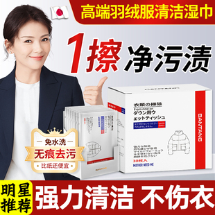 明星同款羽绒服免洗清洁湿巾强力去油渍去污渍神器擦洗衣物干洗剂
