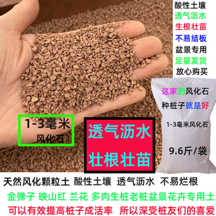 风化石酸性颗粒土金弹子老鸭柿绣球栀子营养土盆栽花卉绿植铺面土