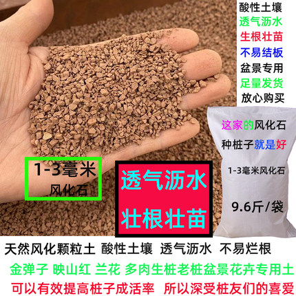 风化石酸性颗粒土金弹子老鸭柿绣球栀子营养土盆栽花卉绿植铺面土