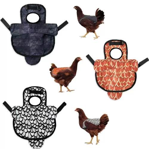 鸡鸭鹅防水鸡鞍 围裙 宠物防护服鸡鸭保暖背心 翅膀鸡背心