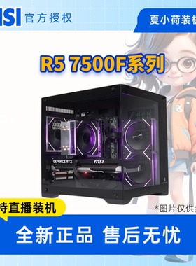夏小荷推荐7500F/B650/7650GRE/5050/9060xt/游戏电脑