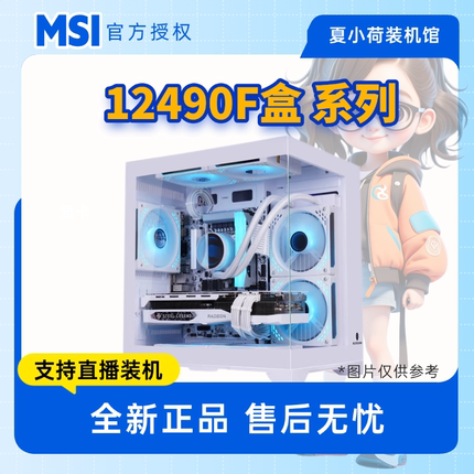 元旦 夏小荷12490F/H610M/B760M/5060DIY电脑海景房/台式主机