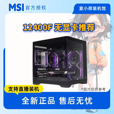 夏小荷推荐12400F/无显卡
