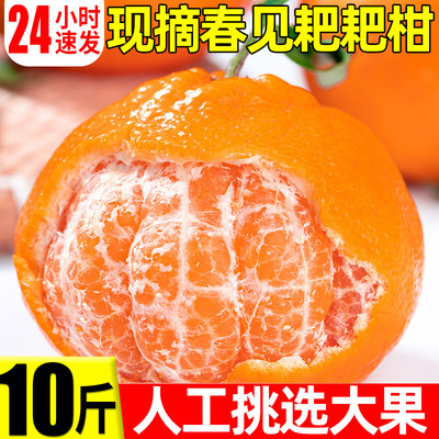 现摘耙耙柑新鲜水果耙耙柑10斤