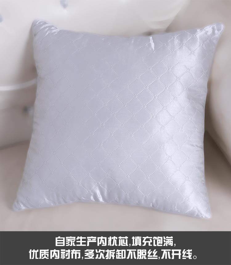 抱枕芯靠枕芯填充沙发牀头客厅靠垫芯长方形正方形棉芯饱满加厚