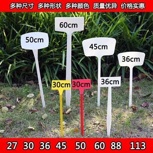 植物地标牌标牌标示牌插标插入防水绿化公园试验地小区小区幼儿园