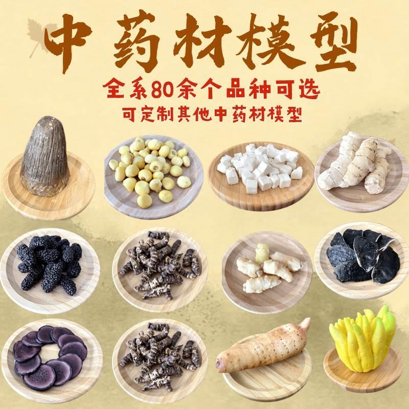 中药材标本模型彷真天麻茯苓博物馆中医中药材虫草石斛医学院陈列
