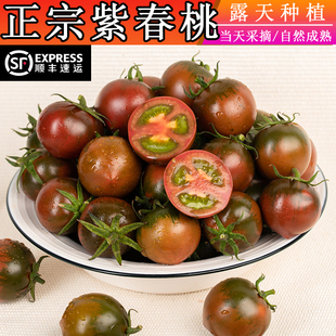 露天自然熟新鲜紫春桃巧克力西红柿黑番茄黑春桃生吃水果顺丰