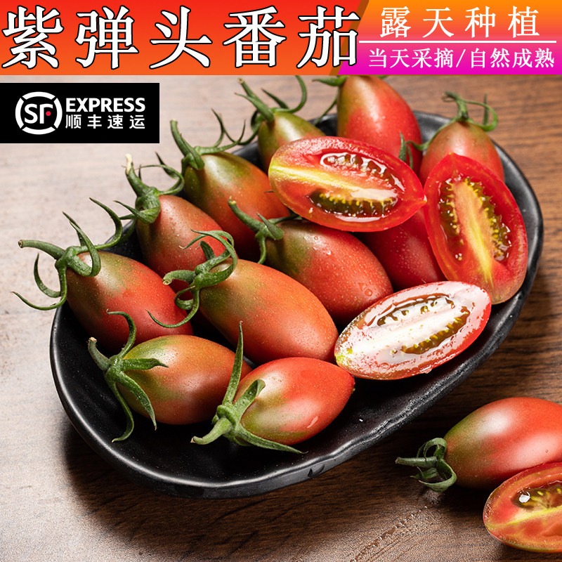紫弹头迷彩小番茄新鲜圣女果新鲜水果番茄顺丰包邮露天种植西红柿,水产肉类/新鲜蔬果/熟食,番茄,淘宝优惠券,粉丝福利购,淘宝优惠卷