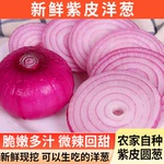 热卖 新鲜当季洋葱现挖蔬菜耐储存脆嫩多汁爽口凉拌生吃