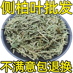 野生侧柏叶 扁柏叶 柏树叶侧柏叶粉500克另售侧柏叶洗发包 香柏波