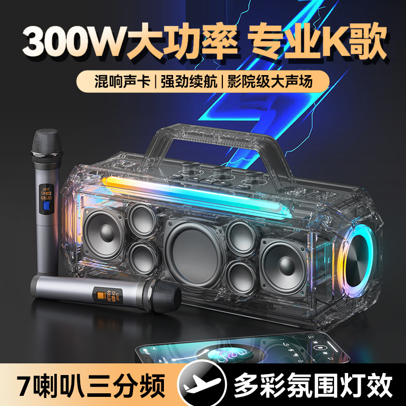 德国进口柏林之声300W音