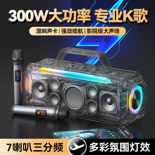 德国进口柏林之声300W音