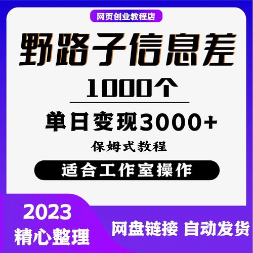 1000个野路子信息差保姆式教程-单日变现3000+的玩法解密
