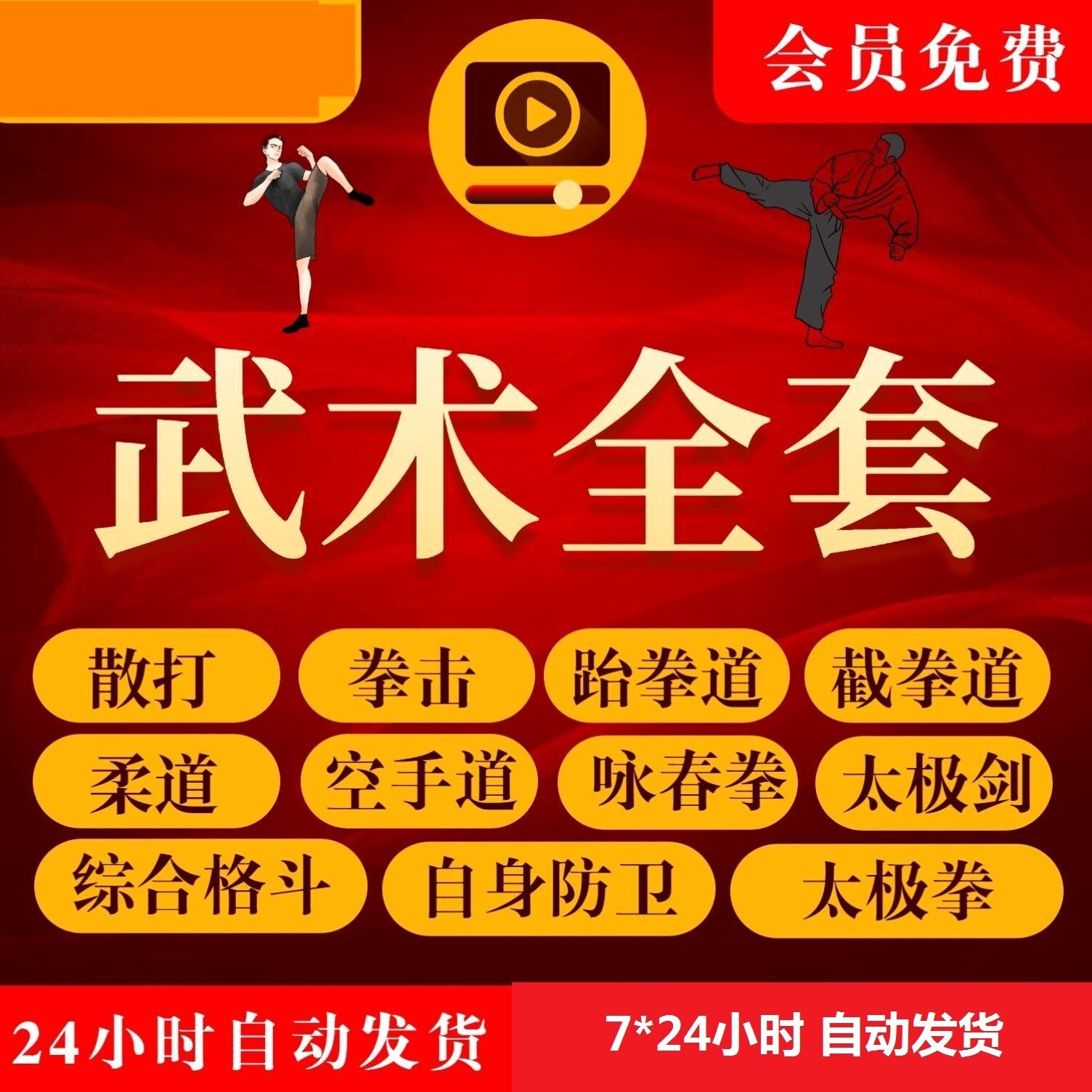 武术视频教程零基础散打咏春太极剑跆泰空手截拳道防身格斗术教学
