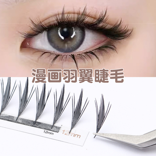 漫画羽翼嫁接快速睫毛欧美分段塔尖柔软假睫毛浓密眼睫毛雨衣柔软