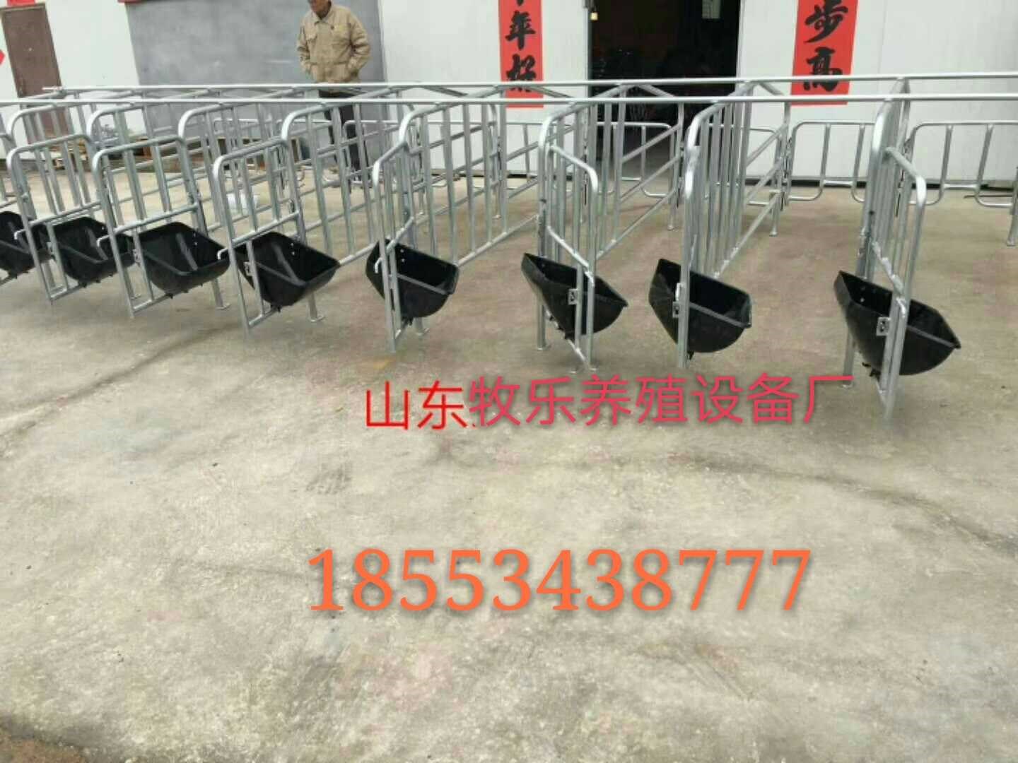 母猪限位栏定位栏5头猪位栏带食槽加厚限位栏母猪栏新款养猪设备