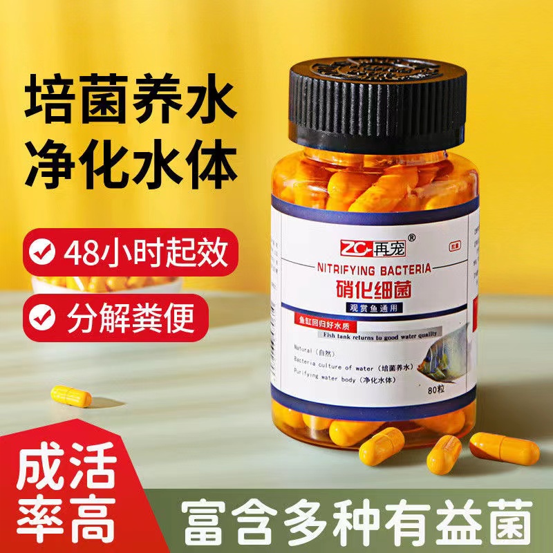 鱼缸硝化细菌净化水质消化活菌液