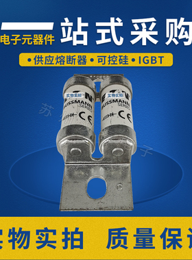 巴斯曼熔断器200FM 250FM 280FM 355MMT 400MMT 450MMT