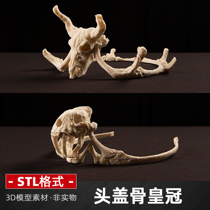 头盖骨皇冠stl格式文件3d打印模型模型圆雕三维立体图王冠素材
