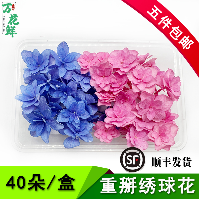 新鲜绣球花重瓣绣球花蓝色粉色酒店饭店西餐冷艺摆盘装饰花草