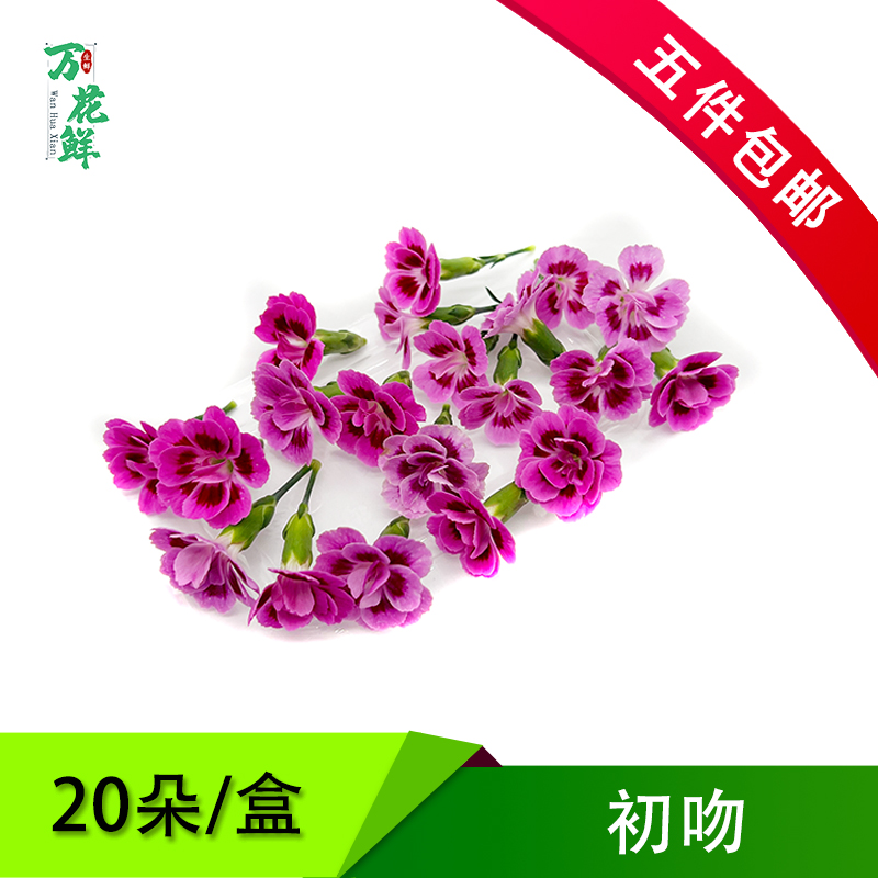 摆盘装饰花餐饮烘培西餐可食用花