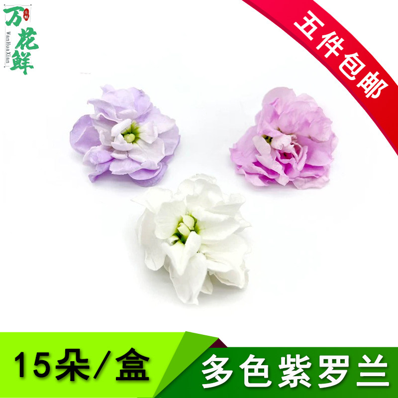 新鲜紫罗兰花多色 酒店西餐摆盘蛋糕烘焙酒水装饰点缀冷艺鲜花草,水产肉类/新鲜蔬果/熟食,其它,淘宝优惠券,粉丝福利购,淘宝优惠卷